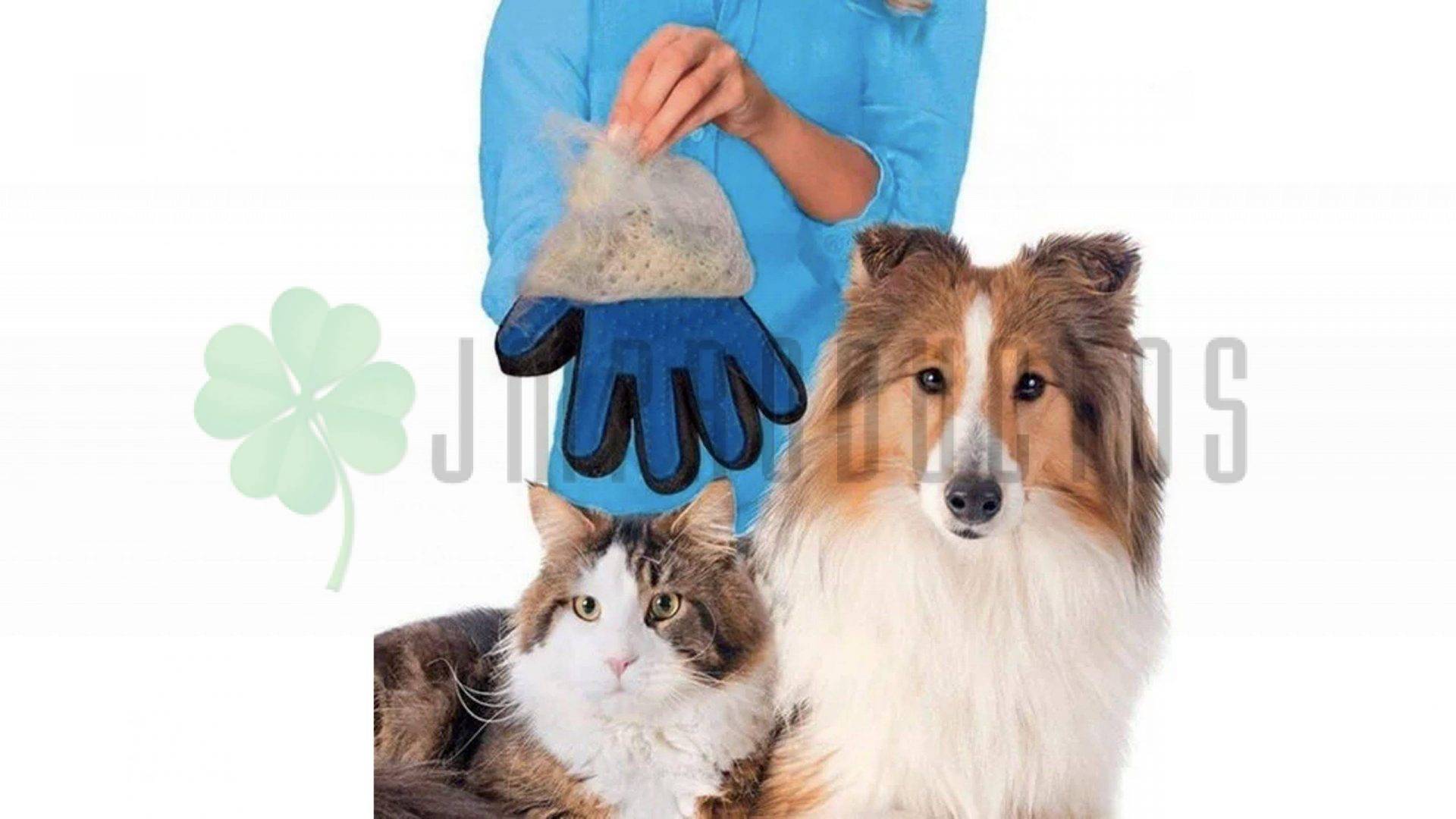 Guante Cepillo Quita Saca Pelo Mascota Perros Y Gatos - Imagen 4